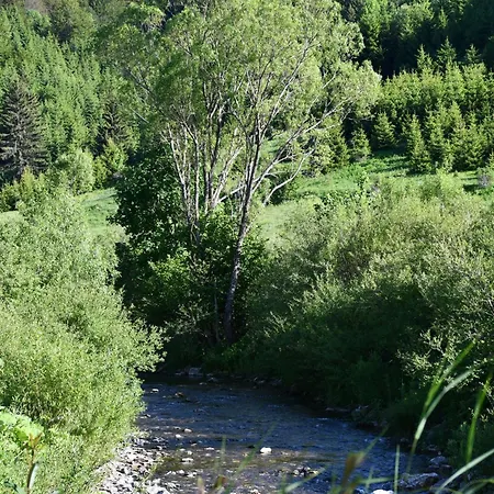 Melbajko * Trnovo